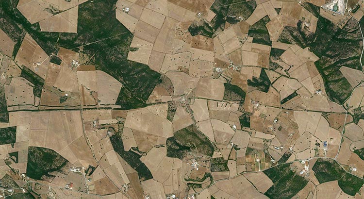 Il "Parietone" visto in un’immagine satellitare. È la lunga striscia verde orizzontale, interrotto, al centro, dalla Masseria Scozia