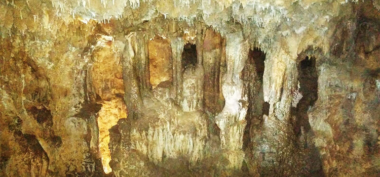 Le grotte di Noci, un patrimonio da salvaguardare