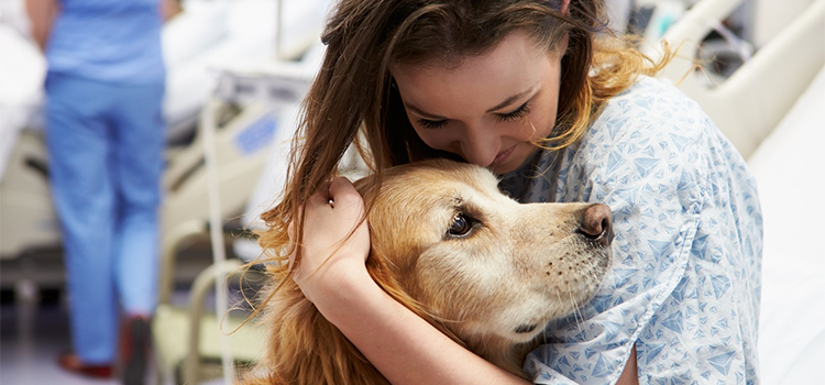 Pet Therapy: quando l’animale aiuta l’uomo