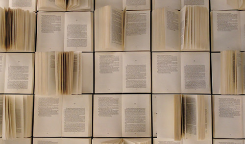 Piccole librerie, Liuzzi: “Possiamo salvarle nella prossima legge finanziaria”