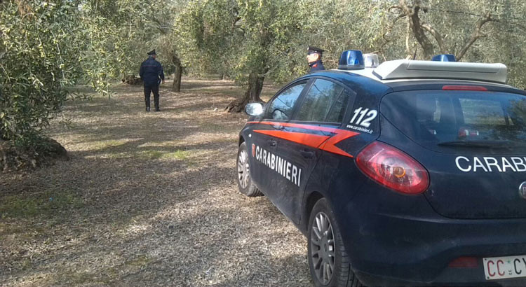 Reati contro il patrimonio, Carabinieri sventano furto in appartamento