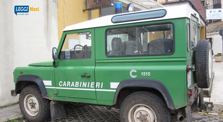 carabinieri-forestale-campagnola