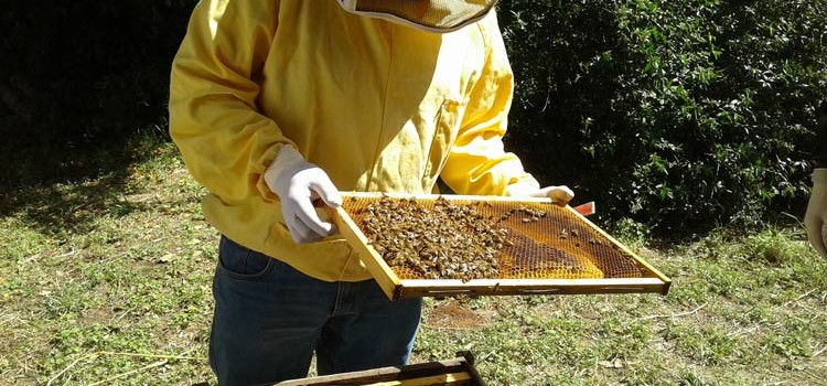 Gli studenti del liceo “Da Vinci-Galilei” a contatto con la natura