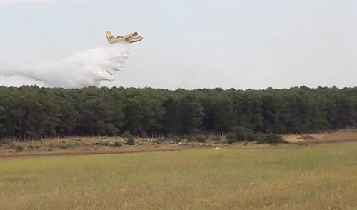 Incendi, a lavoro i volontari de Il Gabbiano