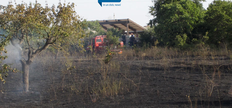 Pomeriggio di fuoco, bruciano ettari di alberi e sterpaglie