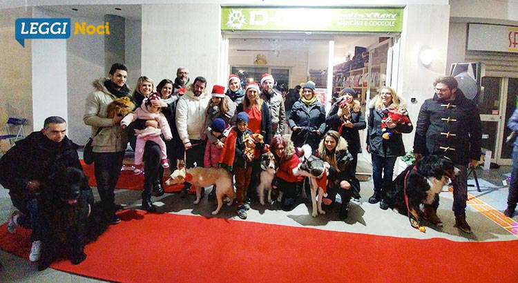 Dog-Christmas-gruppo-partecipanti