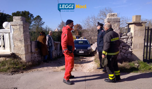 Omicidio-suicidio, Noci sotto choc