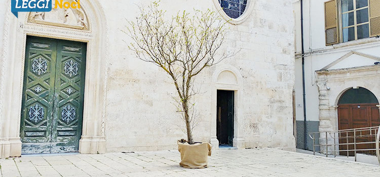 L’Albero di Pasqua: un’insolita tradizione riscoperta dalla Chiesa Madre