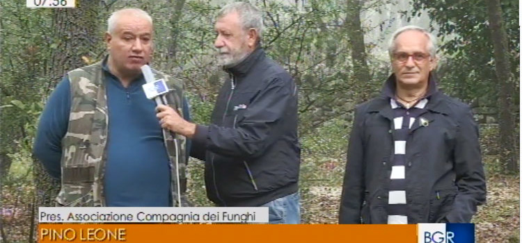 Funghi: dai boschi nocesi alla Tv