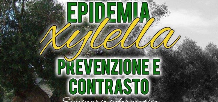 Epidemia Xylella: prevenzione e contrasto