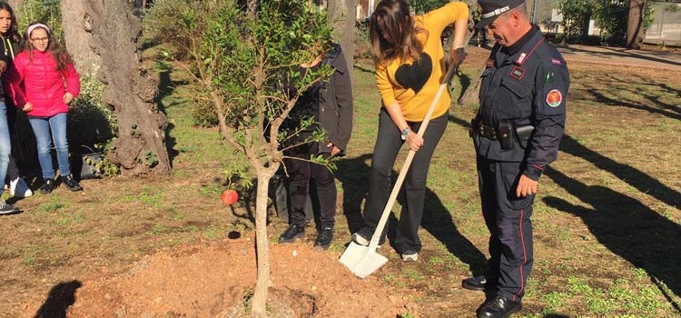 Giornata Nazionale degli Alberi: un nuovo albero piantumato nella Villa Comunale