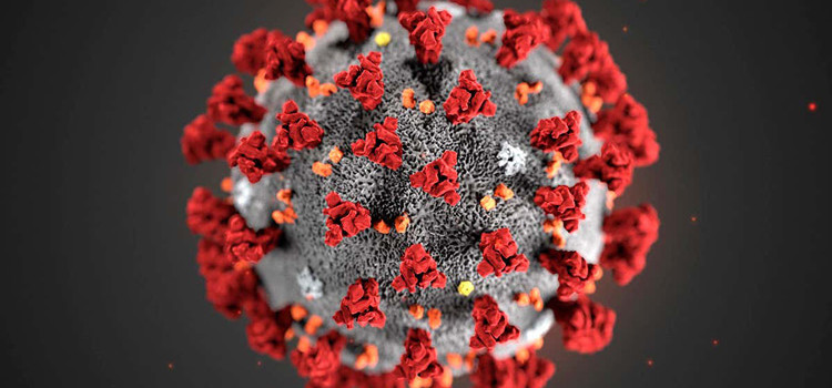 Coronavirus: si è spenta una nocese