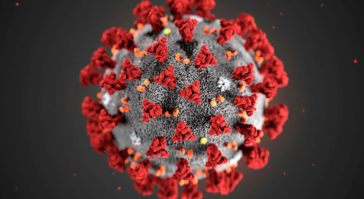 Coronavirus: si è spenta una nocese