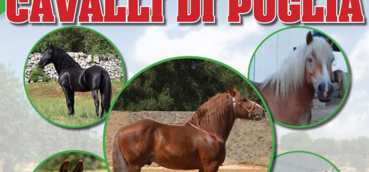 Mostra dei “Cavalli di Puglia”