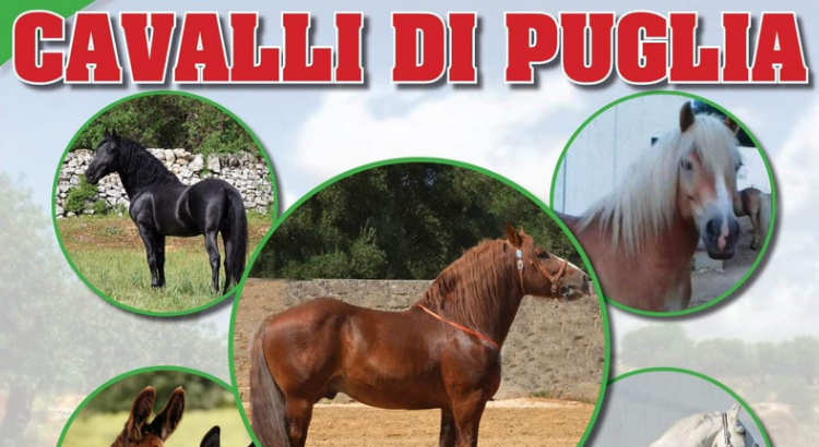 Mostra dei “Cavalli di Puglia”