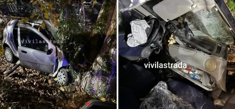 Incidente a Noci: auto si schianta contro un albero
